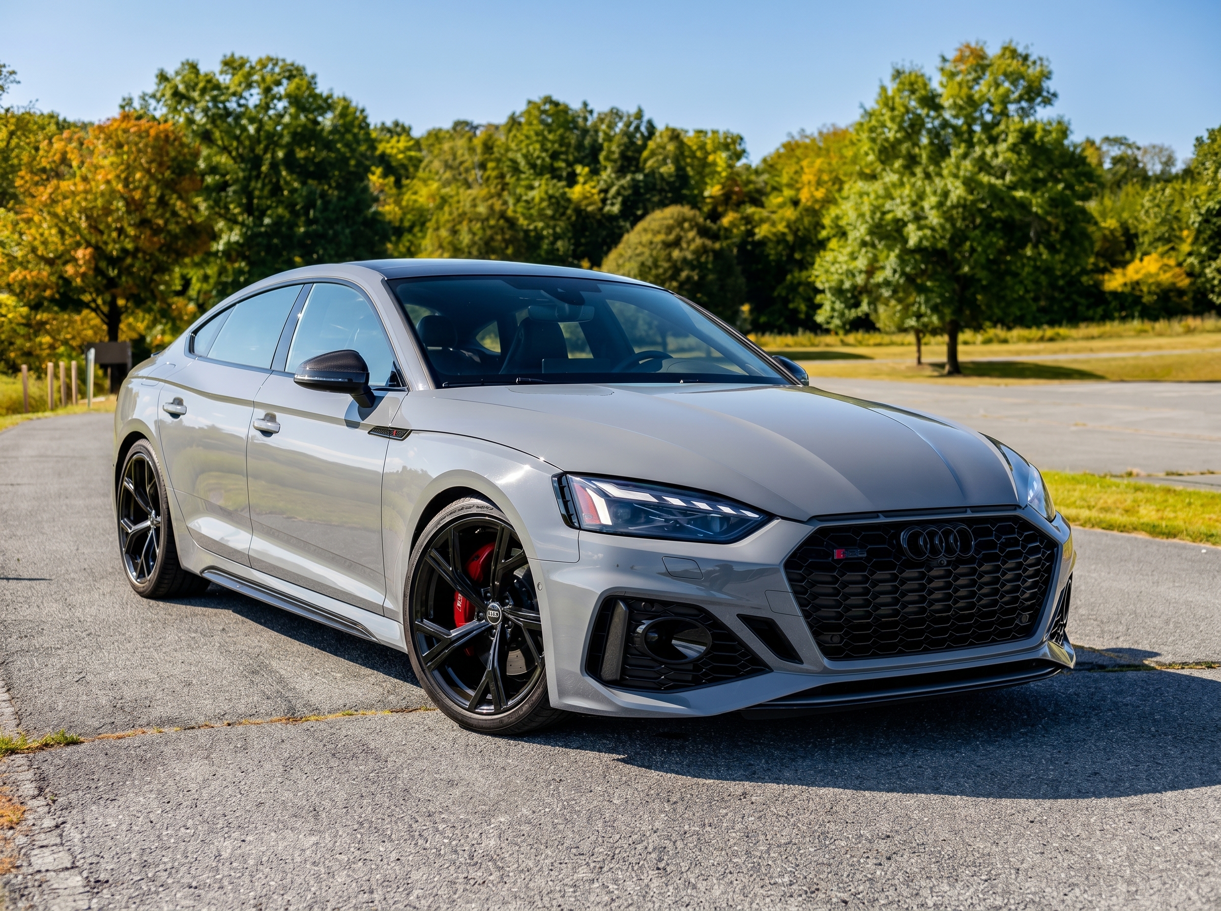 Audi RS5 photo 1
